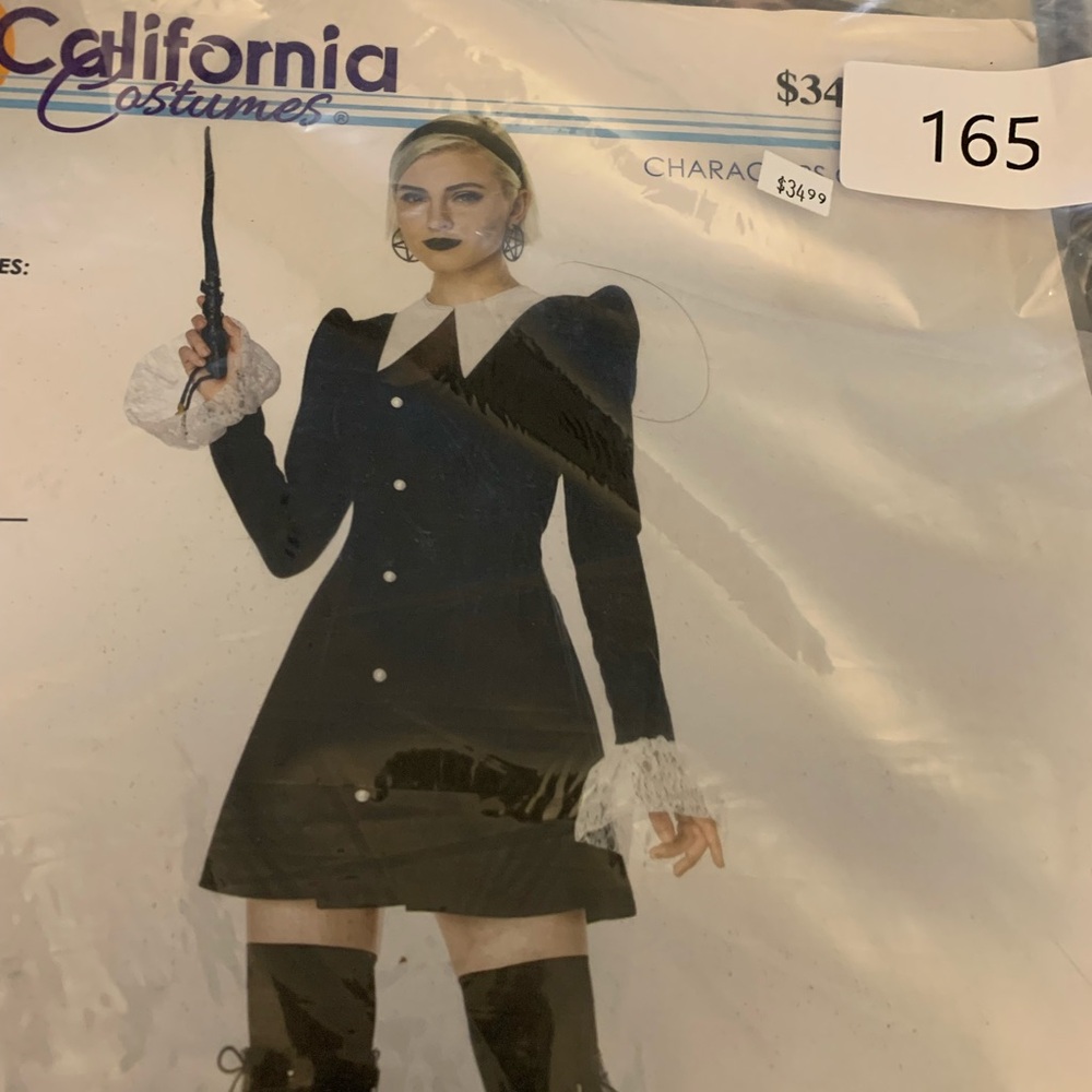 Wednesday, Adult Costume Dress